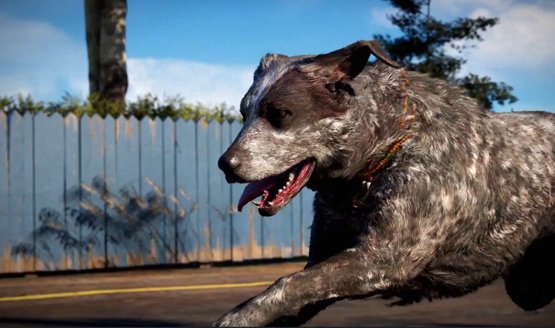 Learn More About the Far Cry 5 Animals