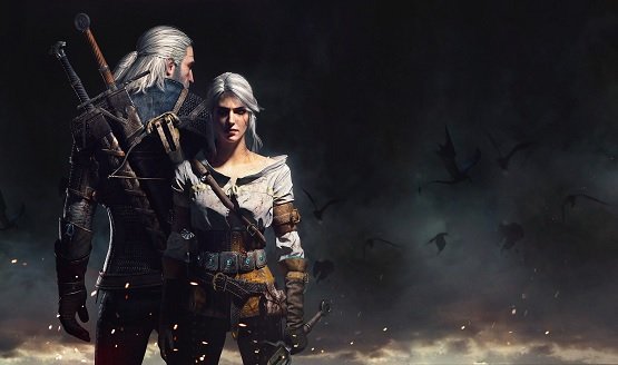 the witcher series