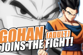 Dragon Ball FighterZ Adult Gohan