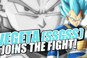 Dragon Ball FighterZ SSGSS Vegeta