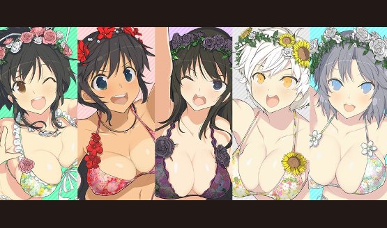 PS4 Senran Kagura PEACH BEACH SPLASH SUNSHINE EDITION XXX Playstation 4  Japan