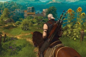 the witcher 3 roach