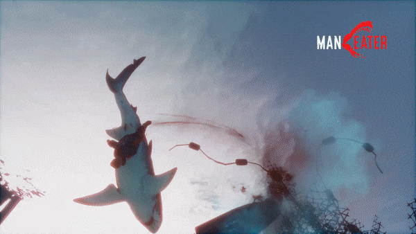 Maneater review - Fear of the shark