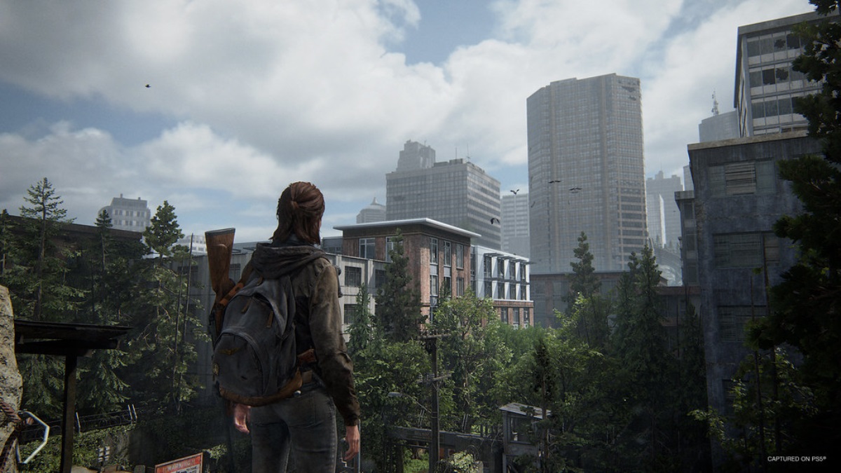 What the Hell Is Going on with The Last of Us Factions, Naughty