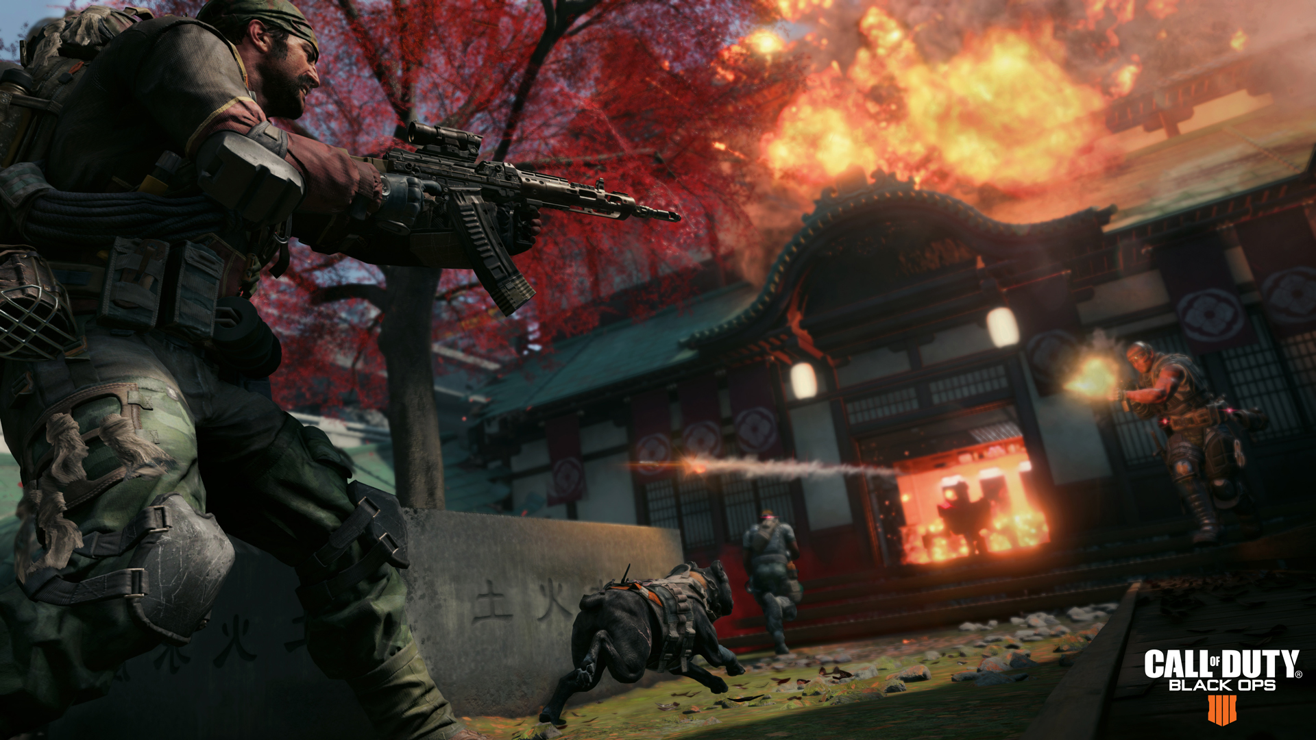 Treyarch kept Call of Duty: Black Ops 4's split-screen quiet