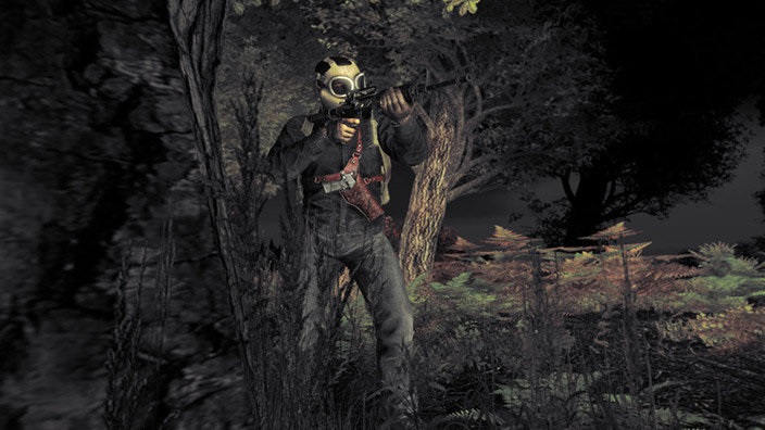 DayZ