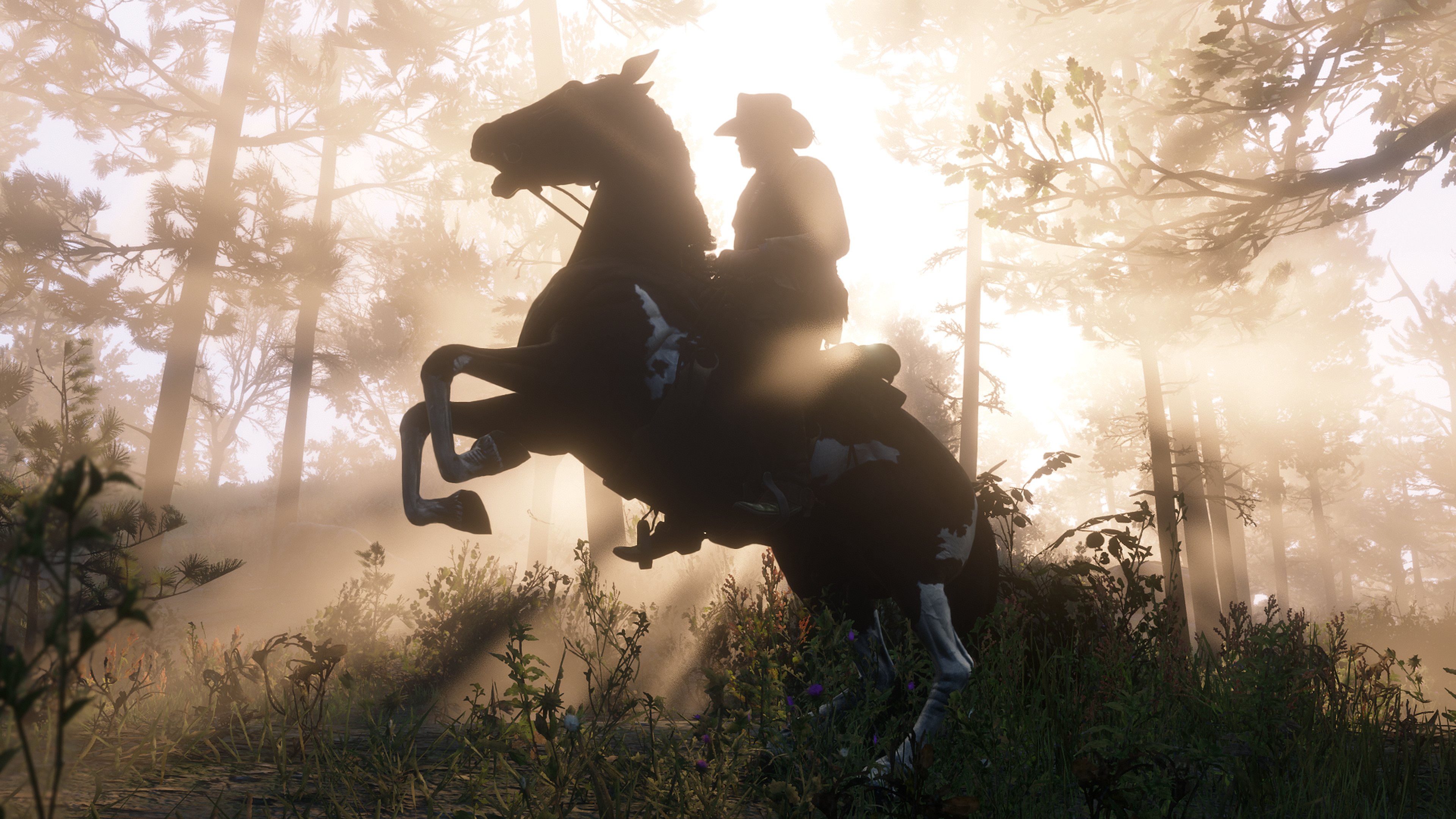 Red Dead Redemption 2 Install Size Revealed, and It's Big