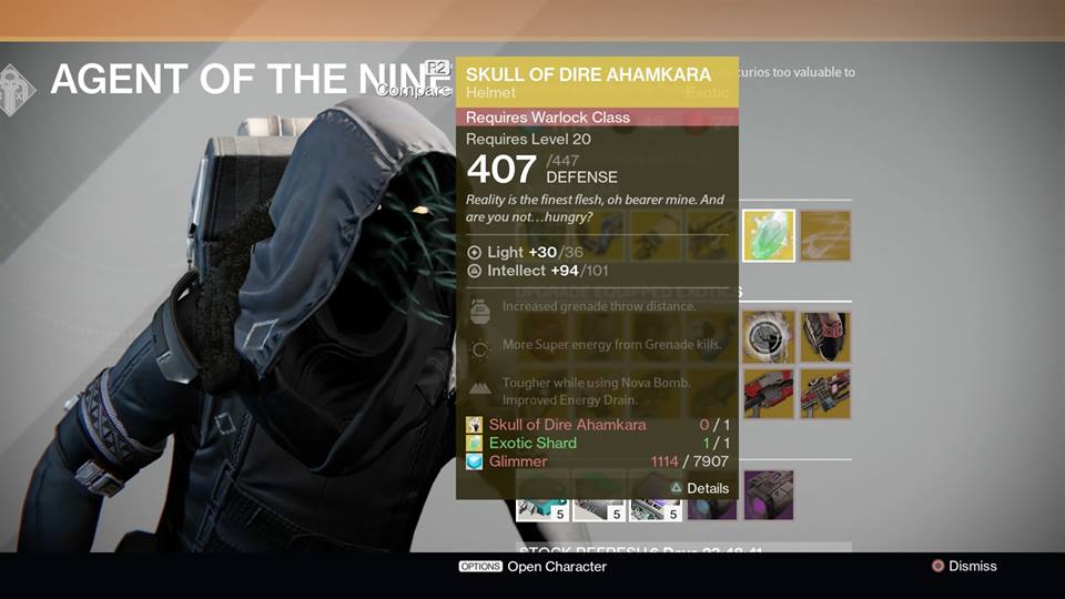 Skull of Dire Ahamkara